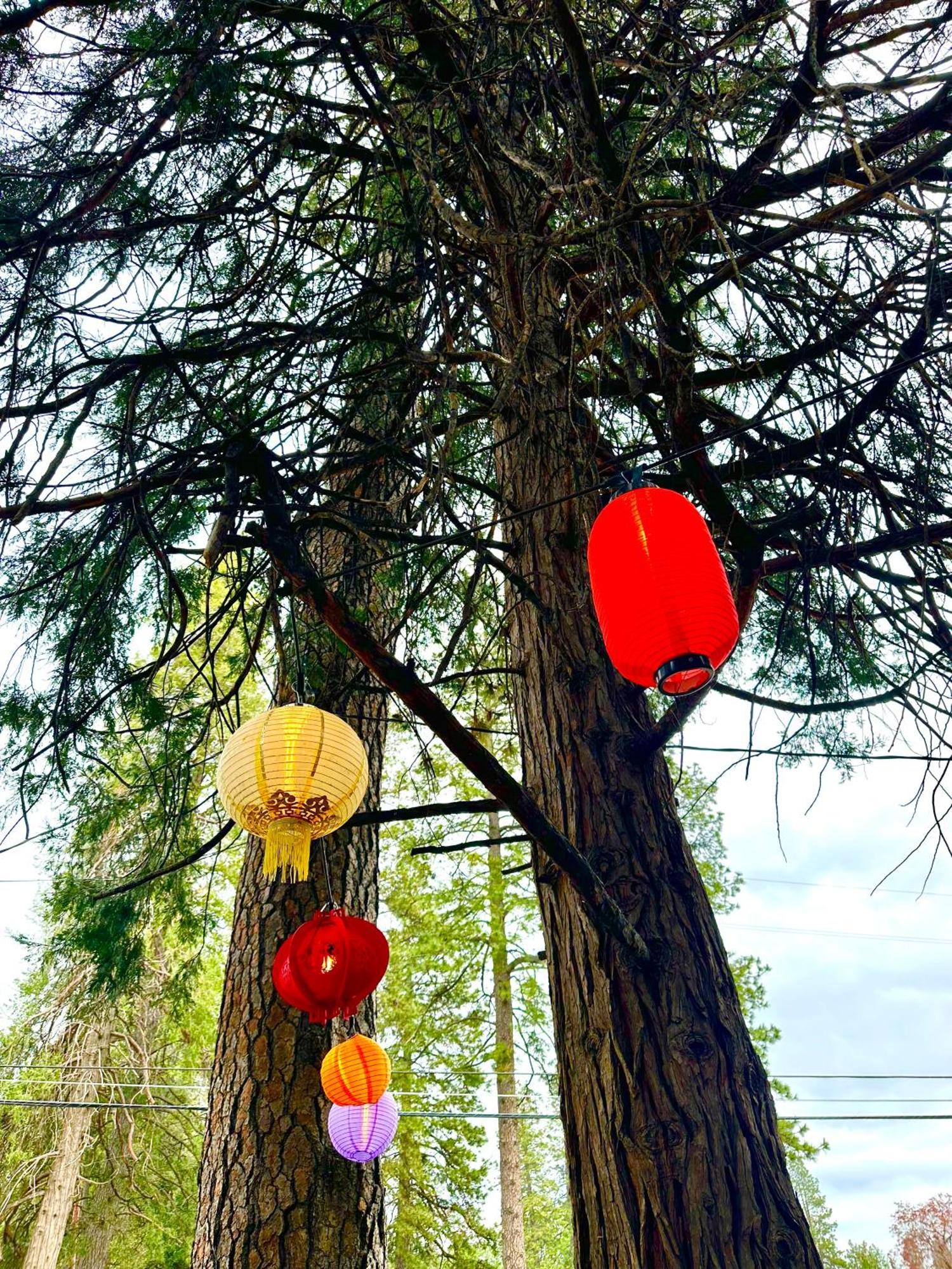 松树汽车旅馆&小屋 草谷 外观 照片